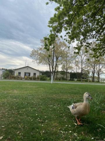 Ashburton Holiday Park ภายนอก รูปภาพ